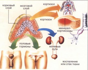 надпочечниковая недостаточность