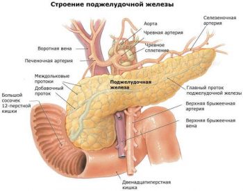 Острый панкреатит: симптомы, диагностика и первая помощь