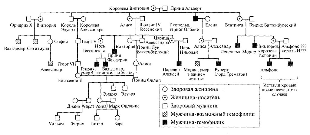 Гемофилия у детей