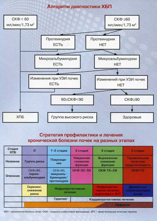 Диета после отравления у детей комаровский