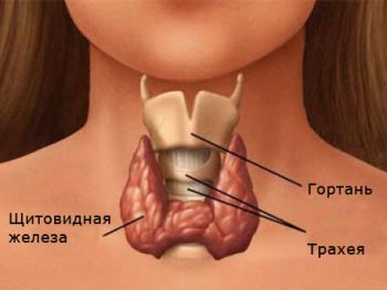 аутоиммунный тиреоидит щитовидной железы