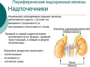 Гормонально-активные опухоли надпочечников: альдостерома, феохромоцитома