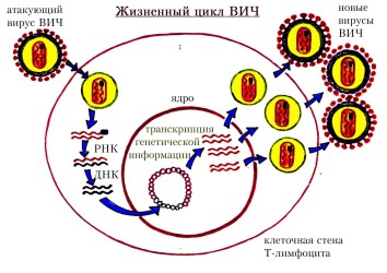 Порно фото вина и джейка Ебучая пизда