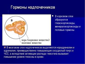 Противовоспалительные препараты для суставов, глюкокортикоиды: обзор средств