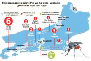 Лихорадка денге: симптомы, лечение и профилактика. Советы туристам