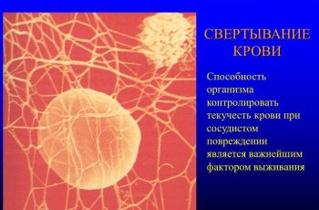 Антикоагулянты прямого действия: показания и противопоказания. Обзор средств