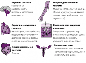 Заболевания щитовидной железы у мужчин: симптомы, лечение и профилактика