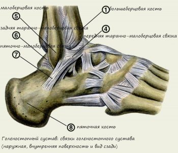 Растяжение связок голеностопного сустава: симптомы и лечение