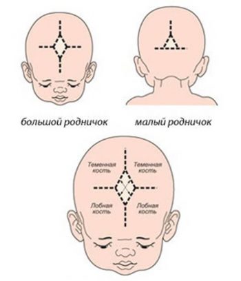 Родничок у ребенка: ответы на вопросы родителей