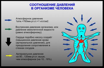 Артериальное давление у детей: норма, симптомы и причины повышения/понижения