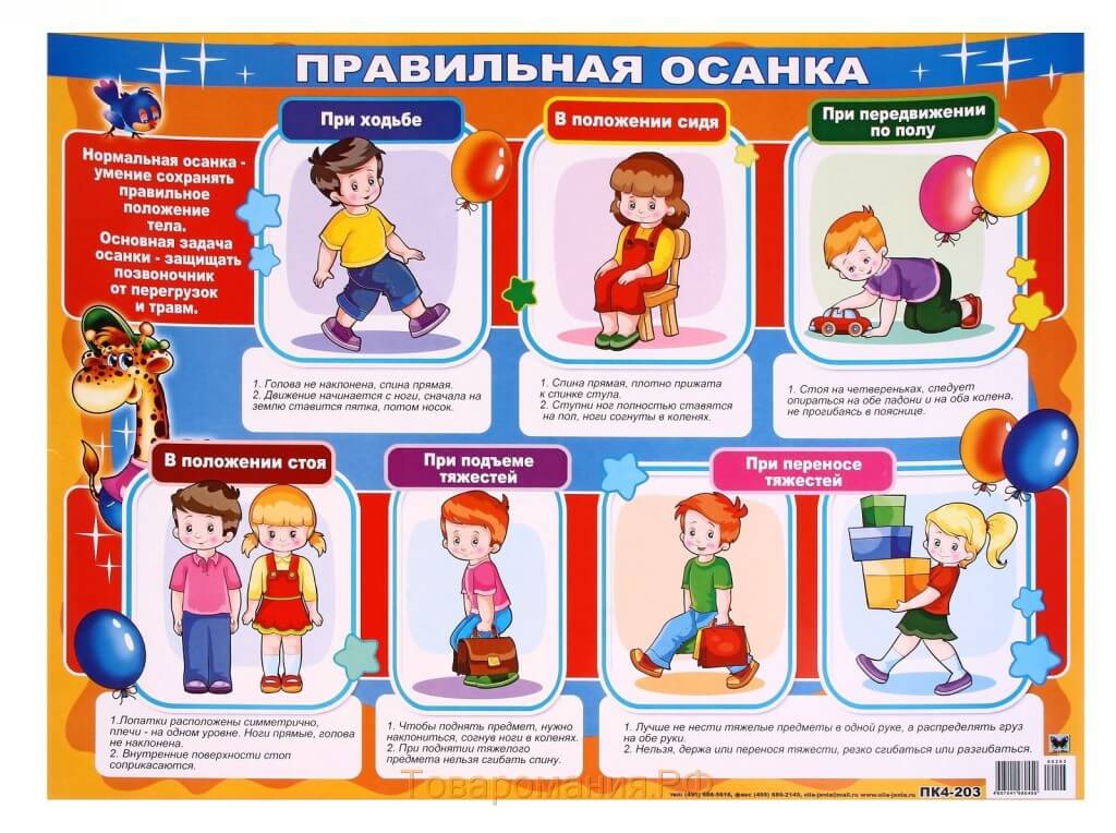 Осанка у детей виды