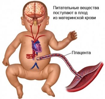 алкогольный синдром плода