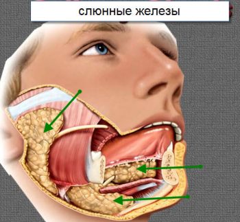 сиаладенит симптомы и лечение