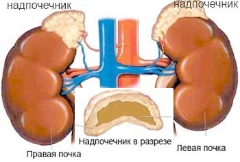 почему темнеет кожа на лице и теле