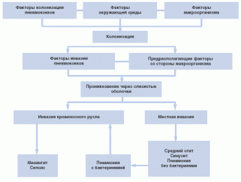 прививка от пневмококковой инфекции детям