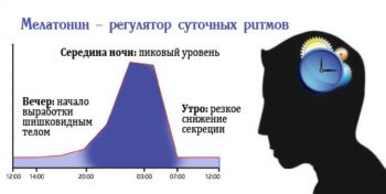 меланин в организме человека