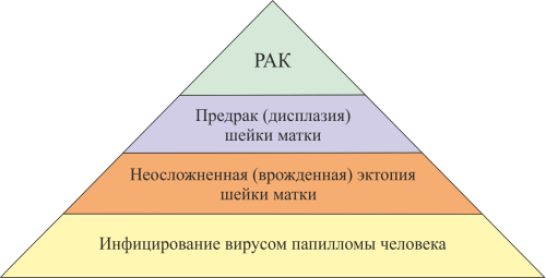 Дисплазия шейки матки: причины, симптомы, диагностика и лечение