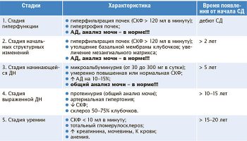 стадии диабетической нефропатии