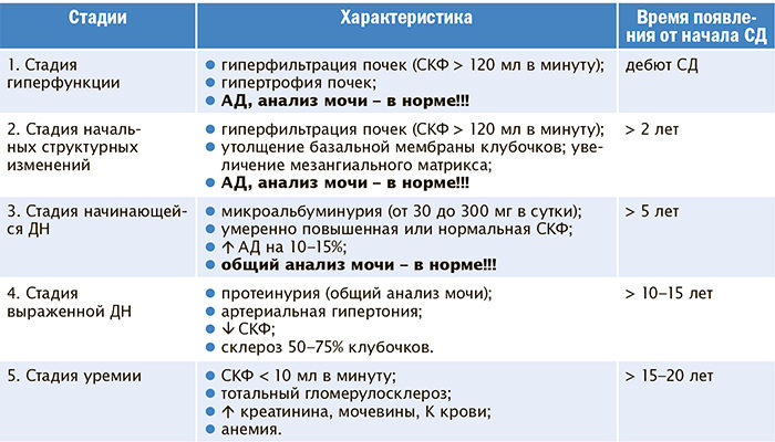 стадии диабетической нефропатии