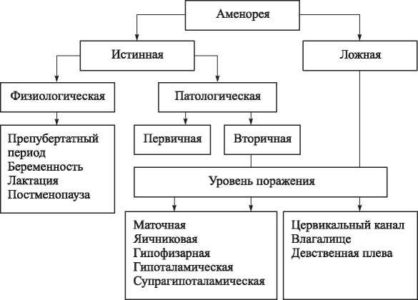 Виды аменореи