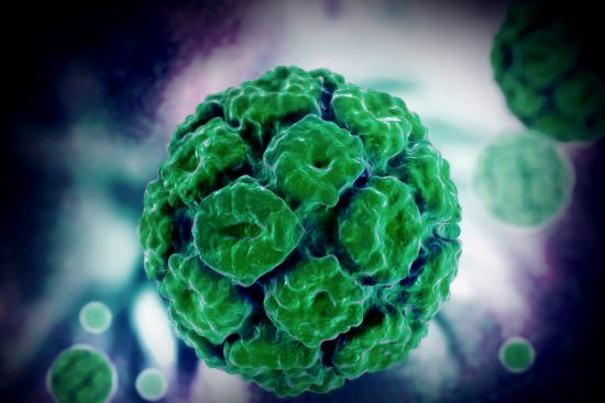 12 мифов о вирусе папилломы человека