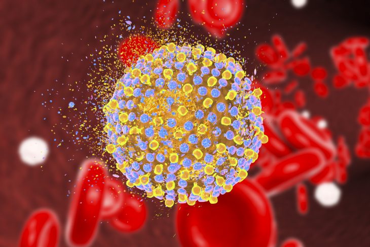 Как вылечить хронический вирусный гепатит с