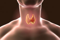 Сцинтиграфия щитовидной железы: показания, противопоказания, методика проведения