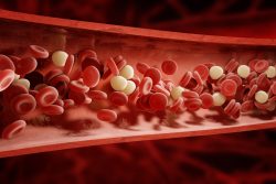 Повышены тромбоциты в крови у ребенка – почему и что делать?