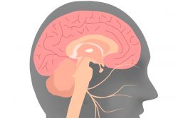Неврит лицевого нерва: симптомы
