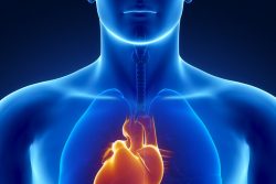 Декстрокардия – когда сердце справа