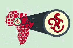 Геморрагическая лихорадка Эбола — известные факты. Памятка для туриста