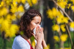 Аллергия на пыльцу — что делать?