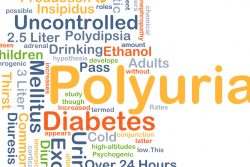 Что делать при полиурии: советы специалиста по диагностике и лечению